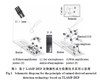 ����Դ�Գɷ��������