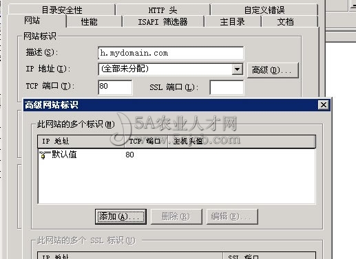 �����ⷺ������IIS�O(sh��)��