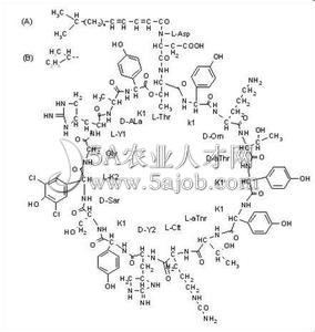 ����ù��