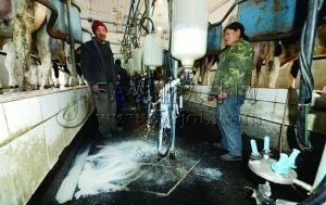 ���r(n��ng)����