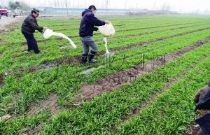 ���r(n��ng)����