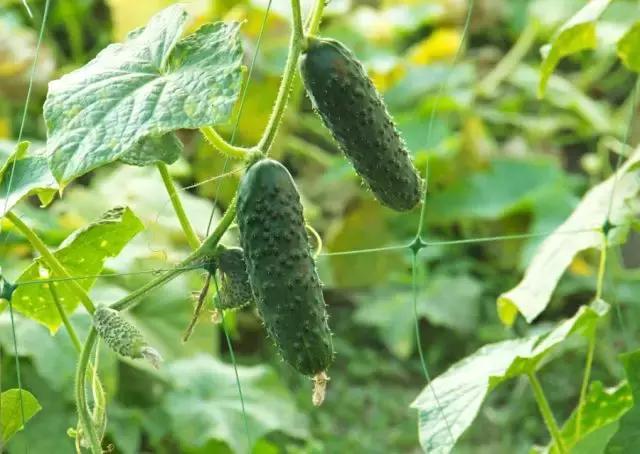 �S���ģ����й������H�L180000ö�S���~Ƭ���K���ƽ��S�Ͽ�ζ�i�}��