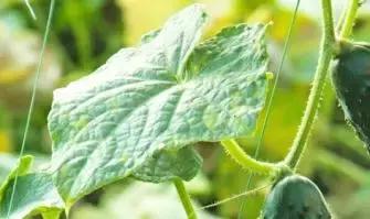 �S���ģ����й������H�L180000ö�S���~Ƭ���K���ƽ��S�Ͽ�ζ�i�}��