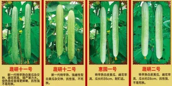 �S���ģ����й������H�L180000ö�S���~Ƭ���K���ƽ��S�Ͽ�ζ�i�}��