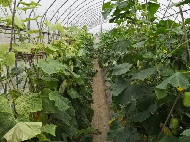 �S���ģ����й������H�L180000ö�S���~Ƭ���K���ƽ��S�Ͽ�ζ�i�}��