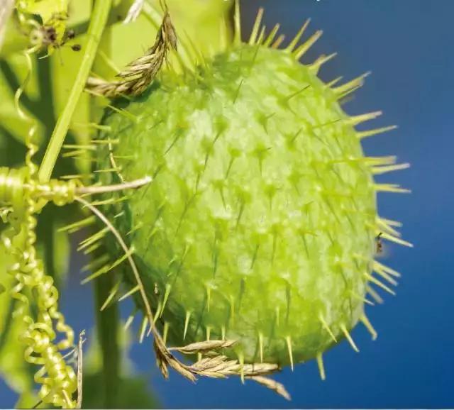 �S���ģ����й������H�L180000ö�S���~Ƭ���K���ƽ��S�Ͽ�ζ�i�}��