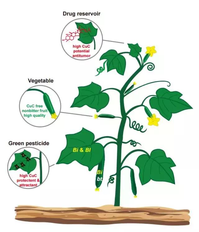 �S���ģ����й������H�L180000ö�S���~Ƭ���K���ƽ��S�Ͽ�ζ�i�}��