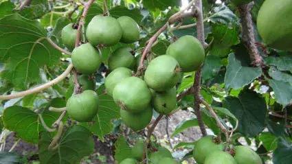 ��܊��ܛ���J�����@�G�˳�؛������