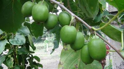 ��܊��ܛ���J�����@�G�˳�؛������