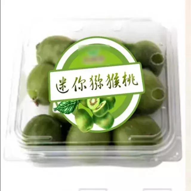 ��܊��ܛ���J�����@�G�˳�؛������