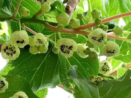 ��܊��ܛ���J�����@�G�˳�؛������