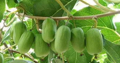 ��܊��ܛ���J�����@�G�˳�؛������