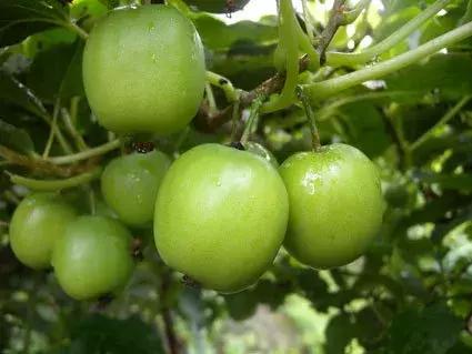 ��܊��ܛ���J�����@�G�˳�؛������